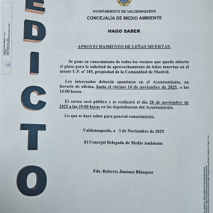 Aprovechamiento de leñas muertas 2025